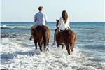 Romantic Honeymoon Experiences